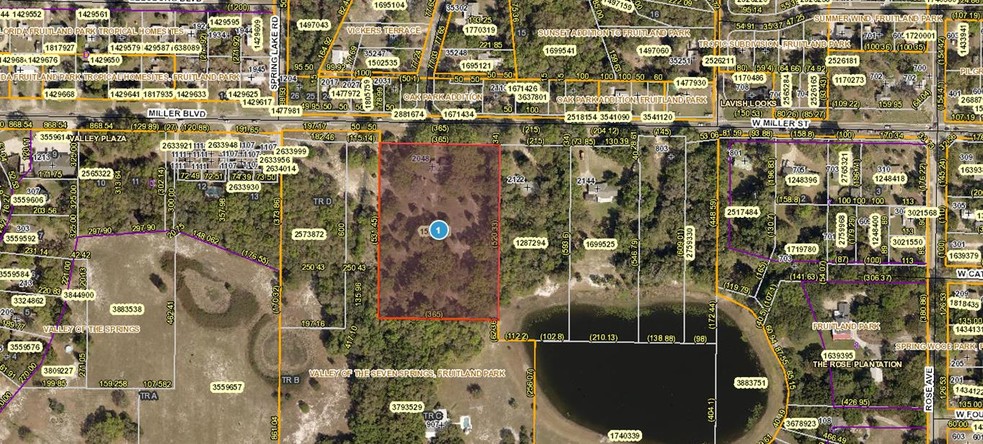 2048 Miller Blvd, Fruitland Park, FL for sale - Other - Image 1 of 12