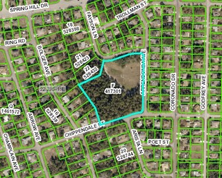 More details for Fayson, Spring Hill, FL - Land for Sale