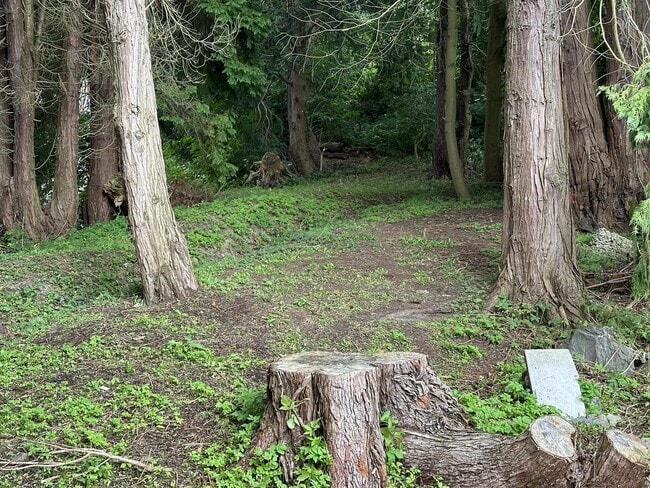 More details for 1 Heronhill Close, Hawick - Land for Sale