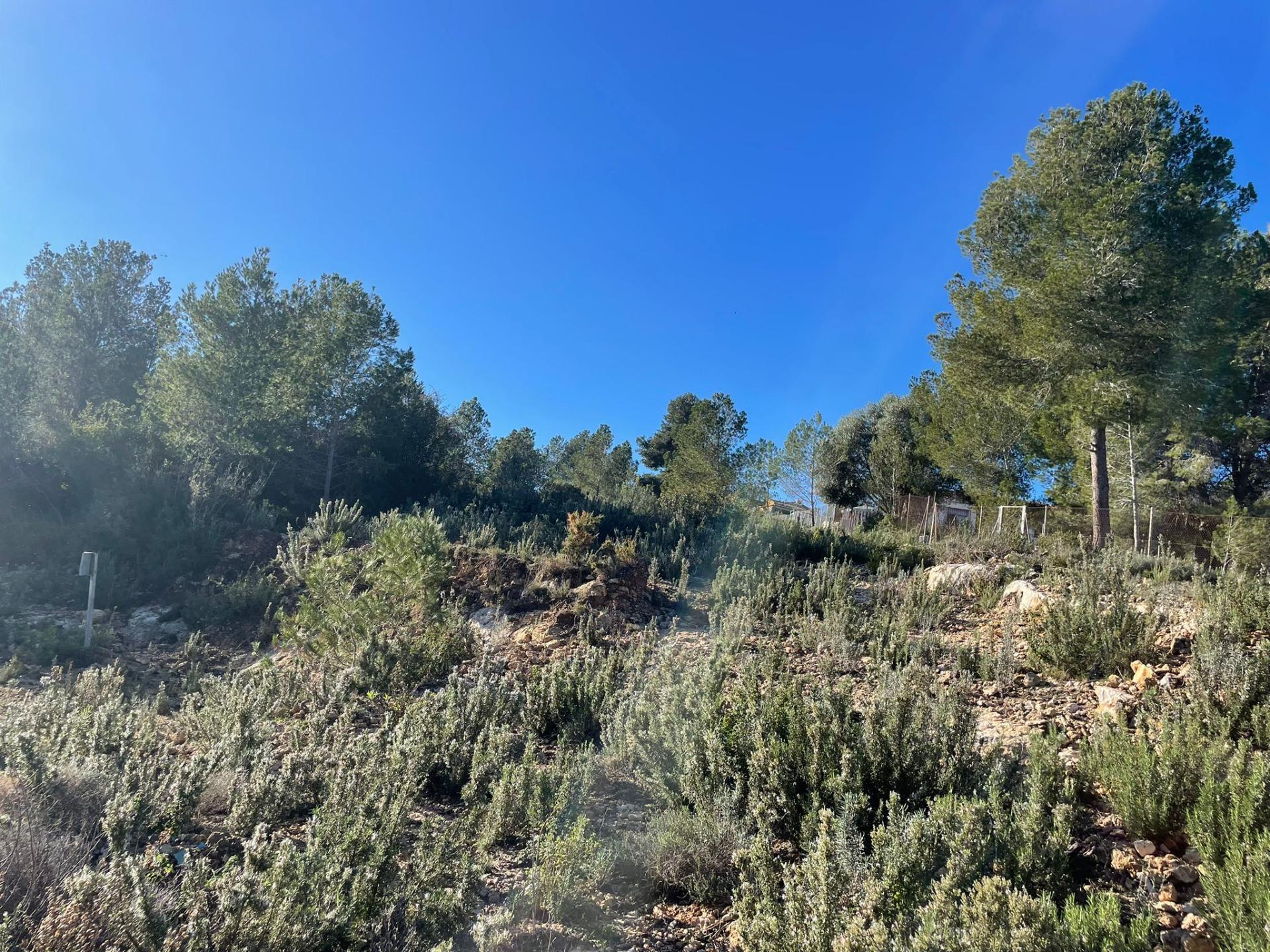 Land in Godelleta, Valencia for sale Site Plan- Image 1 of 22
