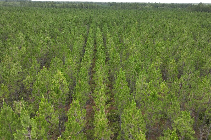 River Road 3, Bryceville 32009 UK