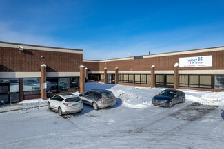 More details for 375-455 Rue Deslauriers, Saint-Laurent, QC - Industrial for Rent