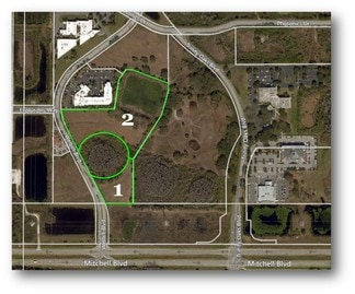 More details for Welbilt Blvd, Trinity, FL - Land for Sale