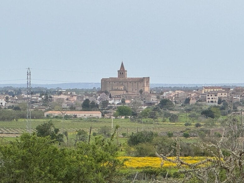 Camí Vel de Porreres, 2, Algaida, Islas Baleares for sale - Building Photo - Image 2 of 36