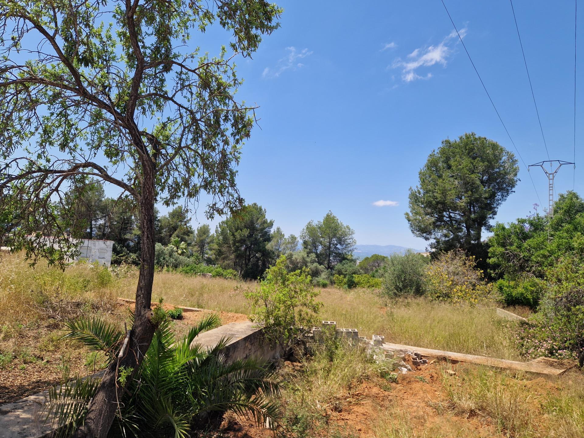 Land in Alzira, Valencia for sale Site Plan- Image 1 of 8