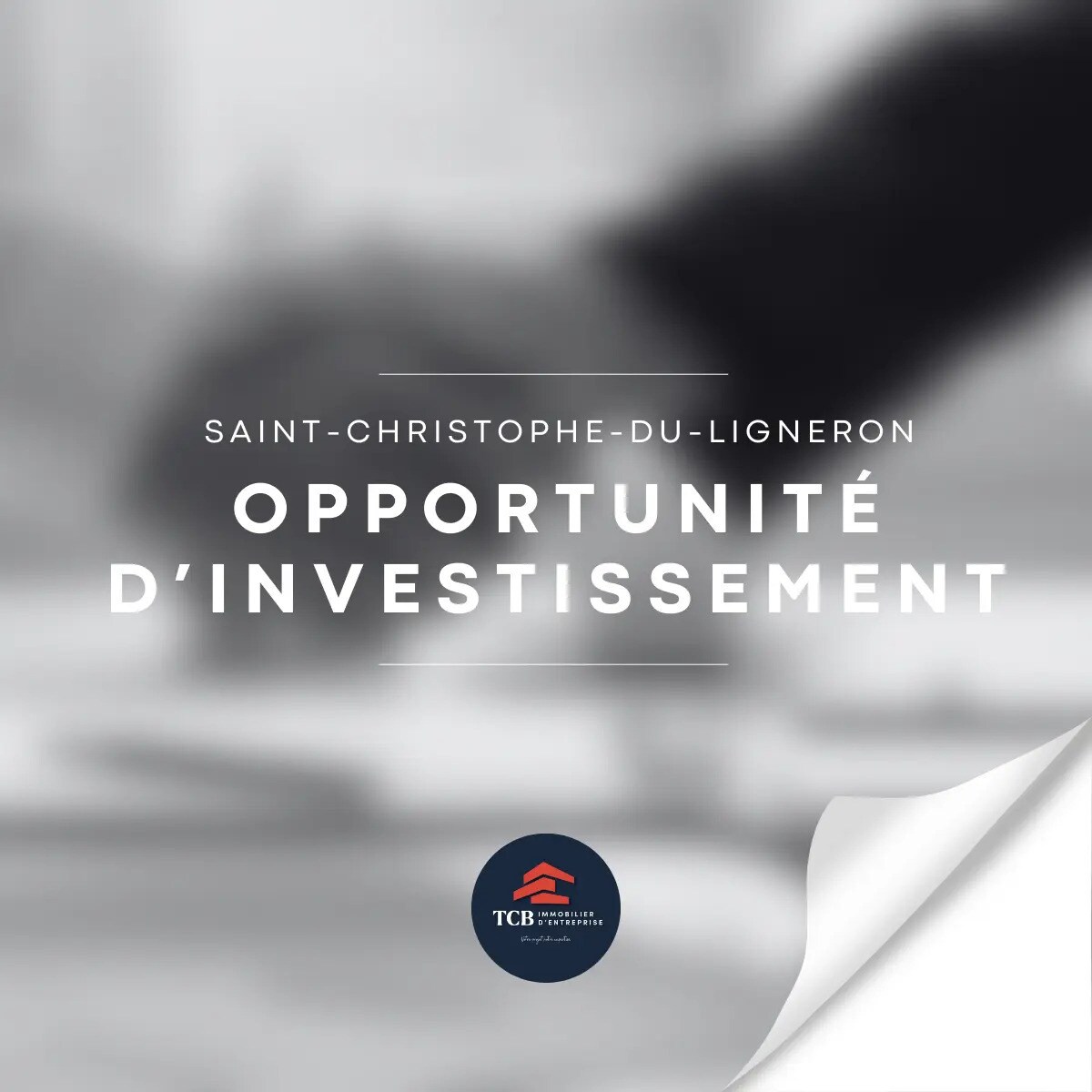 Retail in Saint-Christophe-du-Ligneron for sale Building Photo- Image 1 of 2