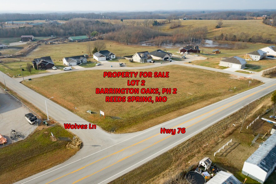 Wolves, Reeds Spring, MO for sale - Aerial - Image 1 of 1