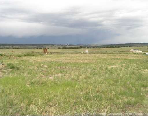 1197 Bullet Rd, Fairplay, CO for sale - Primary Photo - Image 1 of 1