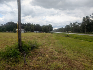 More details for 5400 County Road 218, Middleburg, FL - Land for Sale