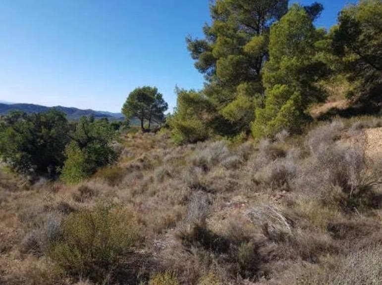 Land in Finestrat, Alicante for sale Primary Photo- Image 1 of 6