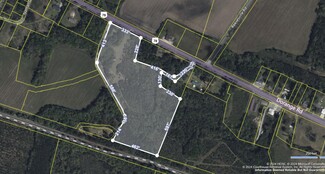 More details for Bethel Cemetery Rd, Reevesville, SC - Land for Sale