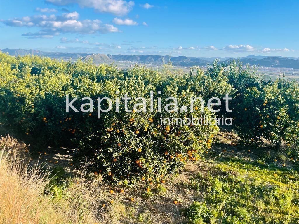 Land in Rotglà i Corberà for sale Building Photo- Image 1 of 9