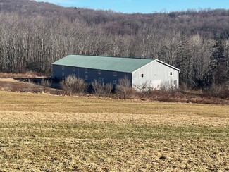 More details for 229 Menges Rd, Livingston Manor, NY - Industrial for Rent