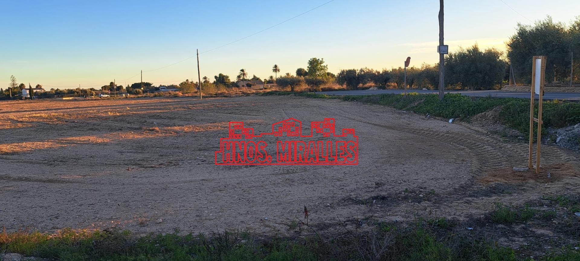 Land in Elche, Alicante to rent Building Photo- Image 1 of 5