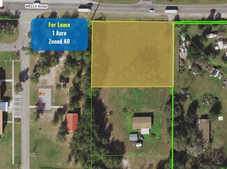 More details for 30740 Wells Rd, Wesley Chapel, FL - Land for Rent