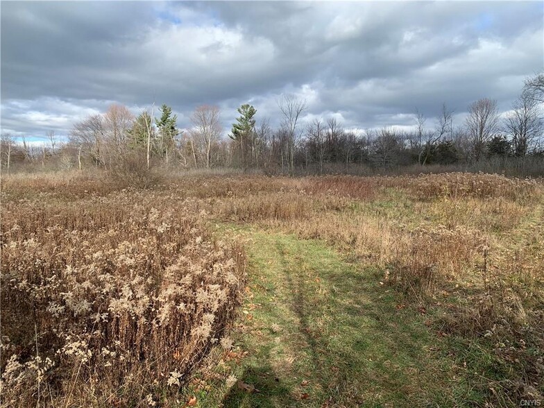 Pine Woods Rd, Three Mile Bay, NY for sale - Primary Photo - Image 1 of 1