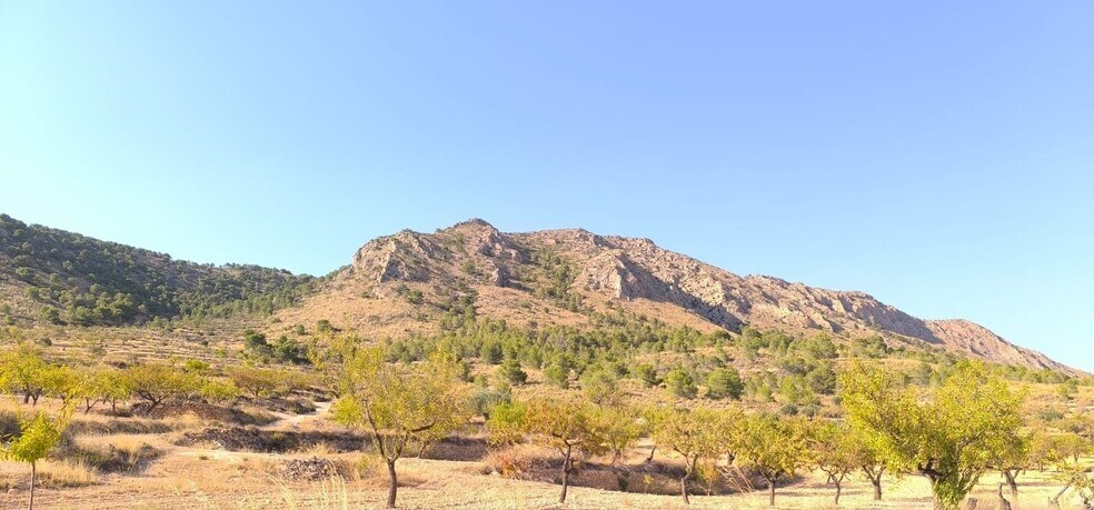 Land in Algueña, Alicante for sale - Building Photo - Image 3 of 4