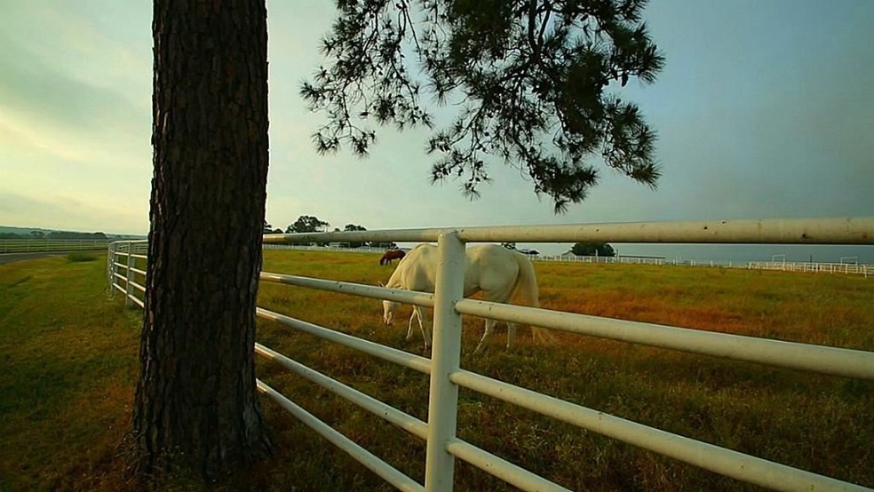 10285 Sanders Ranch Rd, Anderson, TX for sale - Building Photo - Image 1 of 1