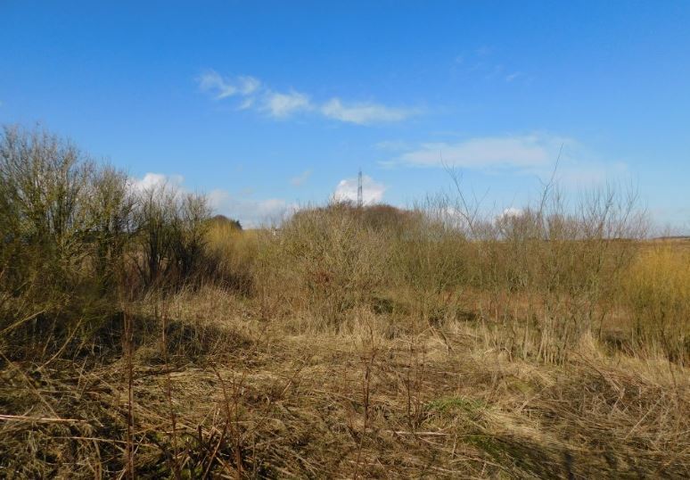 South Mains Of Auchleuchries, Hatton for sale Primary Photo- Image 1 of 1