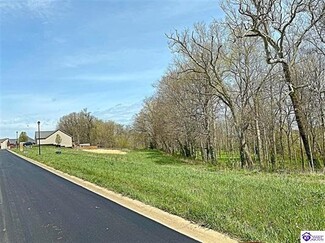 More details for Sawgrass Ave, Vine Grove, KY - Land for Sale