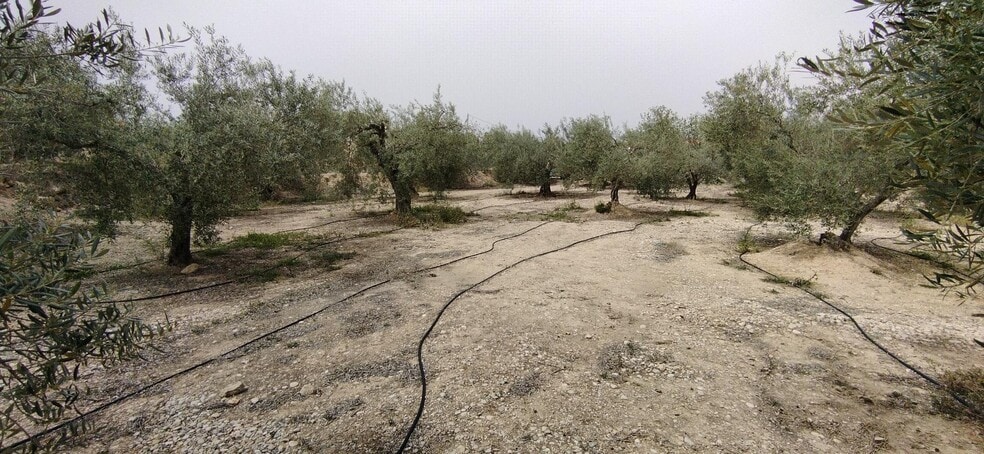 Land in Calasparra, Murcia for sale - Building Photo - Image 1 of 19