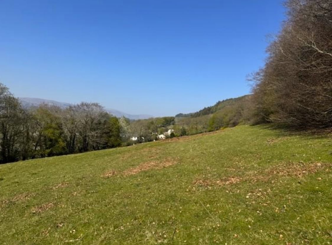 487 A, Machynlleth for sale Primary Photo- Image 1 of 5