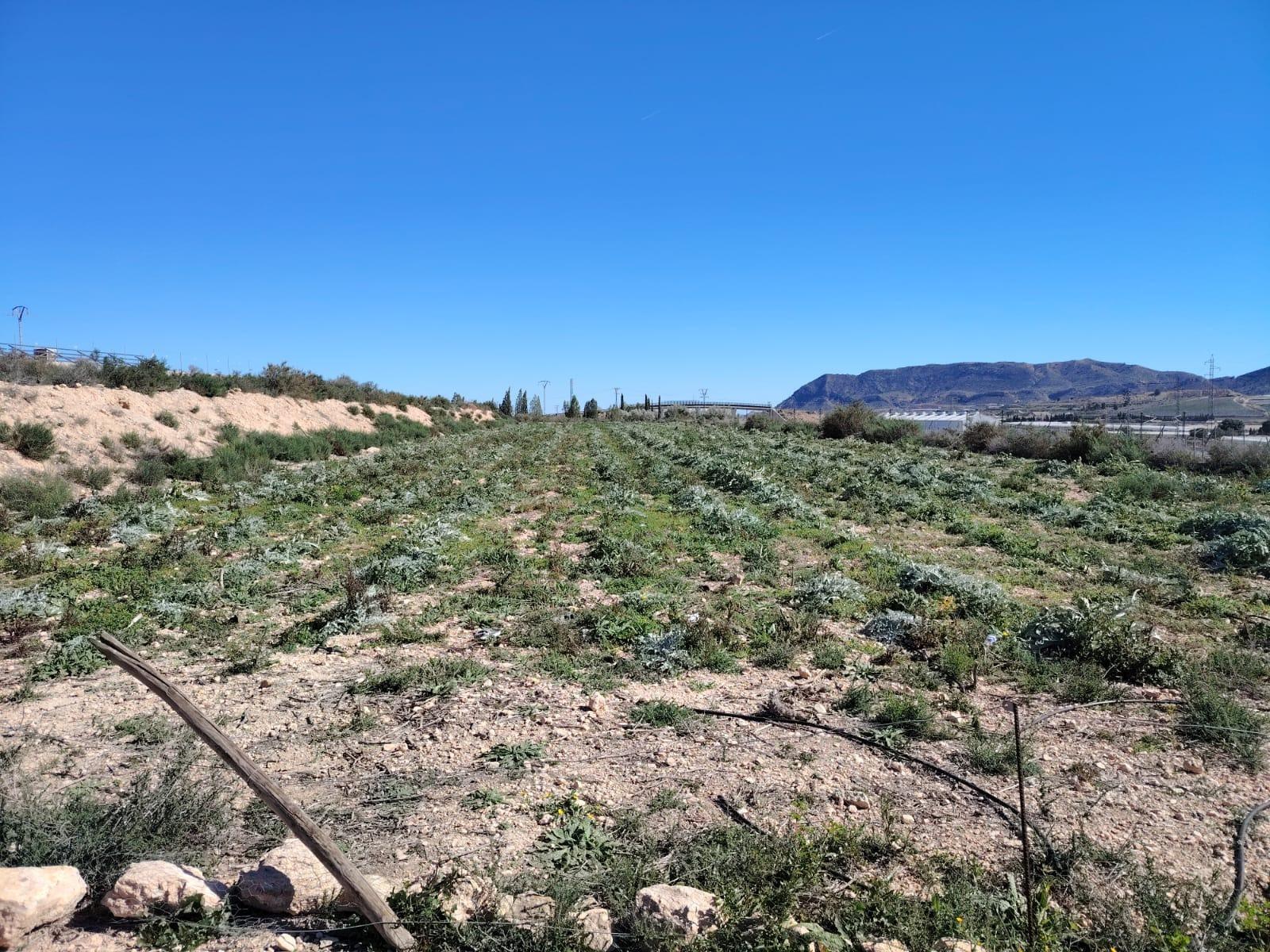 Land in Monforte del Cid for sale Building Photo- Image 1 of 2