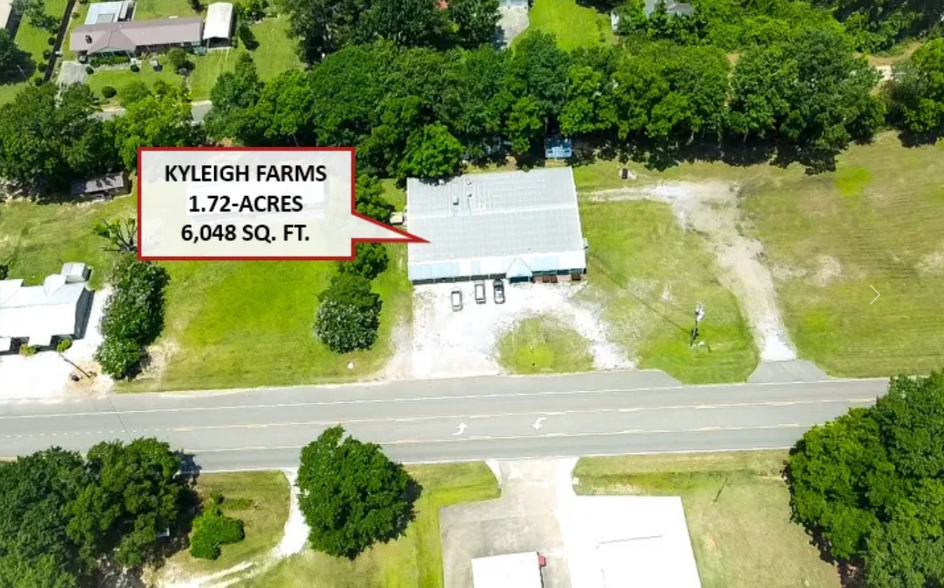 10781 Alabama 27, Chancellor, AL for sale - Aerial - Image 3 of 17