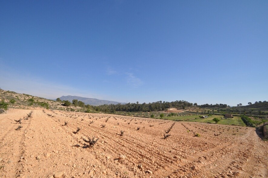 Land in Jumilla, Murcia for sale - Aerial - Image 2 of 16