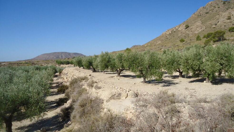 Land in Abanilla, Murcia for sale - Primary Photo - Image 2 of 18