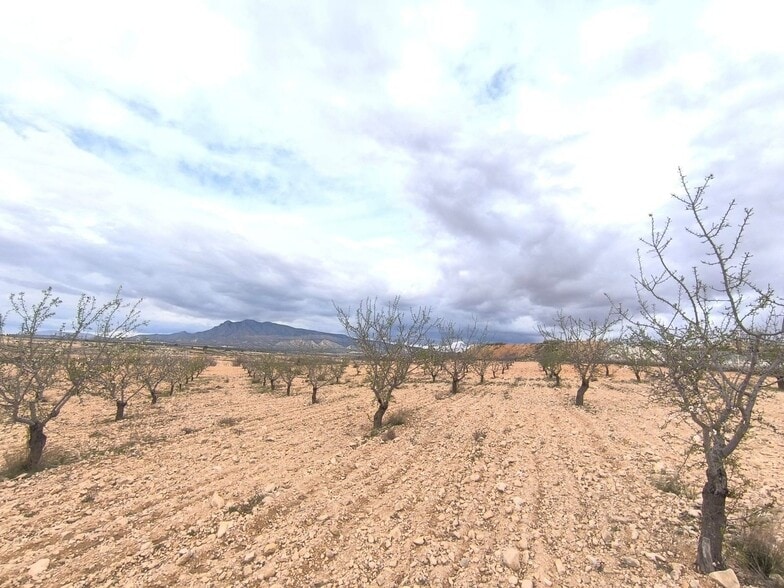 Land in Yecla, Murcia for sale - Site Plan - Image 1 of 4