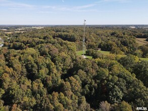 000 SANDUSKY Rd, Pulaski, IL for sale Aerial- Image 1 of 1