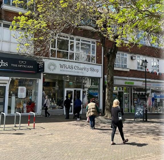 192 Terminus Rd, Eastbourne for sale - Primary Photo - Image 1 of 1