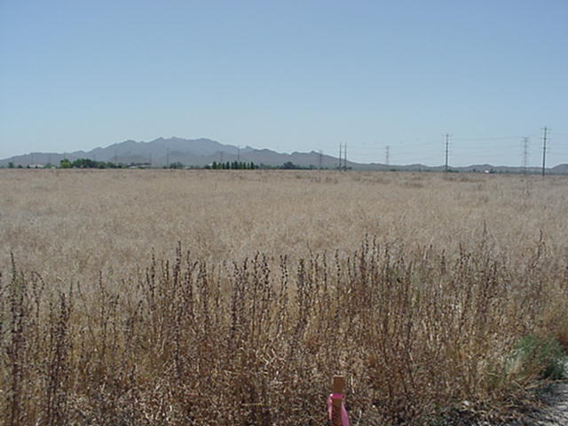 SE Perryville Rd & Broadway Rd, Goodyear, AZ for sale - Building Photo - Image 1 of 7