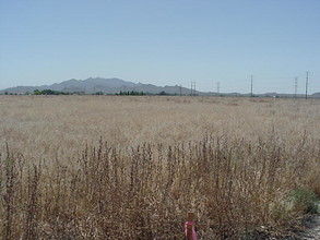 SE Perryville Rd & Broadway Rd, Goodyear, AZ for sale Building Photo- Image 1 of 8