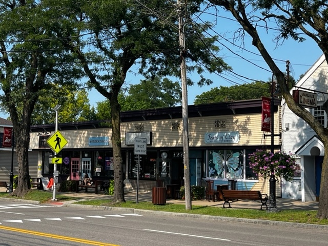 117-123 E Seneca St, Manlius, NY for sale - Primary Photo - Image 1 of 1