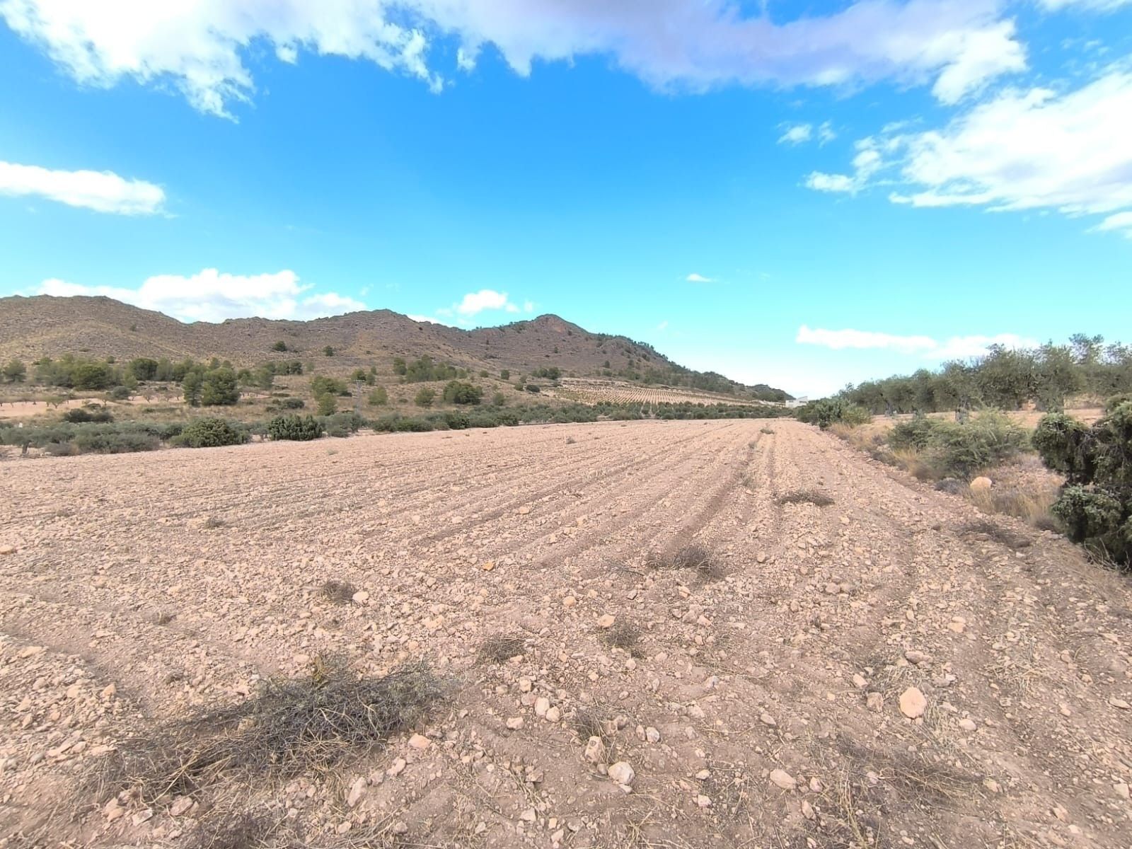 Land in MURCIA for sale Primary Photo- Image 1 of 5