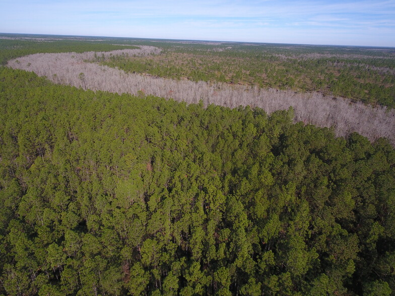 Lee Rd, Abita Springs, LA for sale - Building Photo - Image 1 of 1