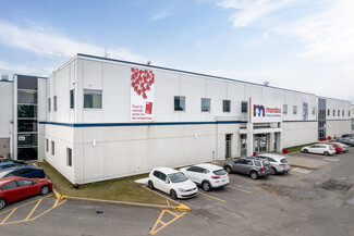 More details for 10400 Renaude-Lapointe, Montréal, QC - Light Industrial for Sale