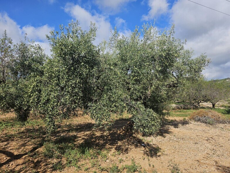 Land in LA RÀPITA, Tarragona for sale - Primary Photo - Image 1 of 4