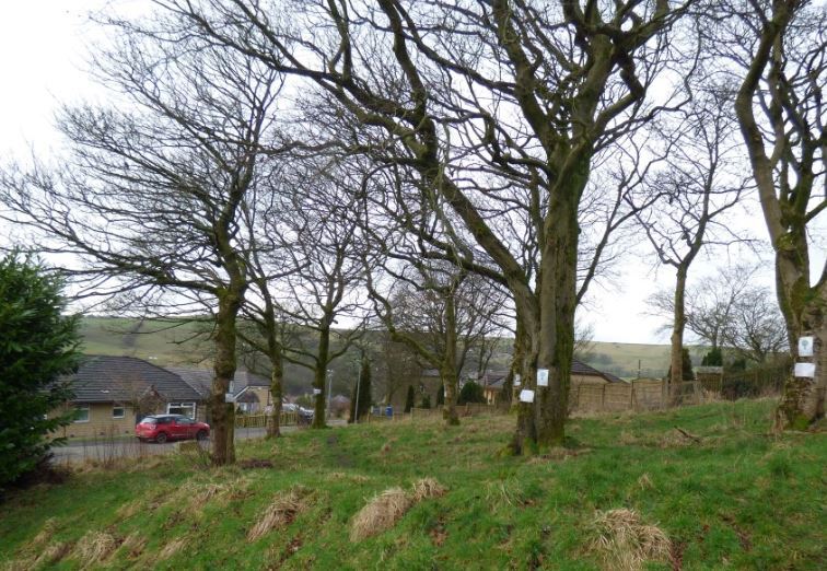 Pendle Ave, Bacup for sale - Primary Photo - Image 1 of 1