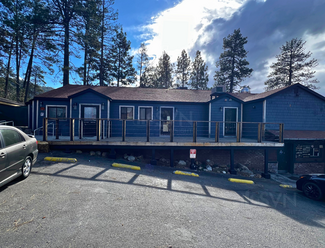 More details for 25980 Hwy. 243, Idyllwild, CA - Retail for Rent