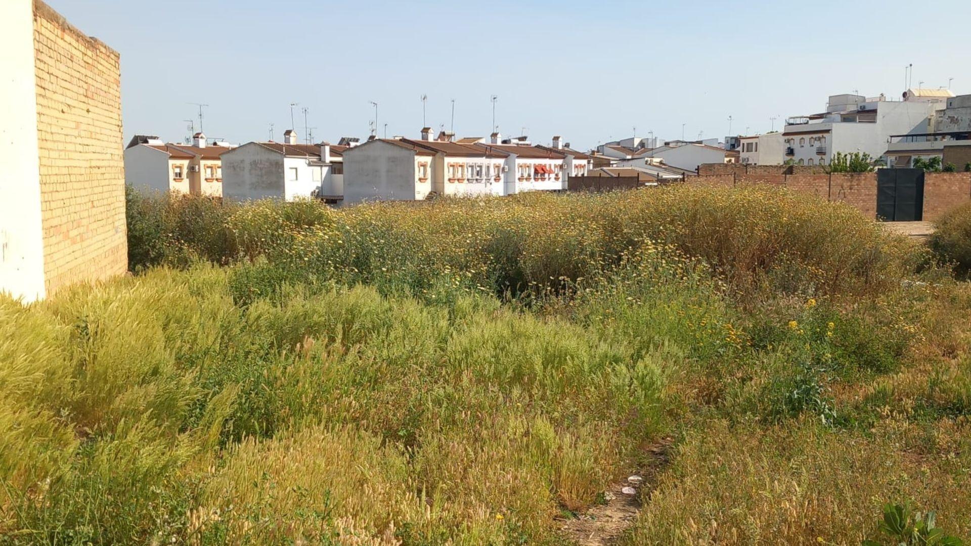Land in Bollullos Par del Condado for sale Building Photo- Image 1 of 12