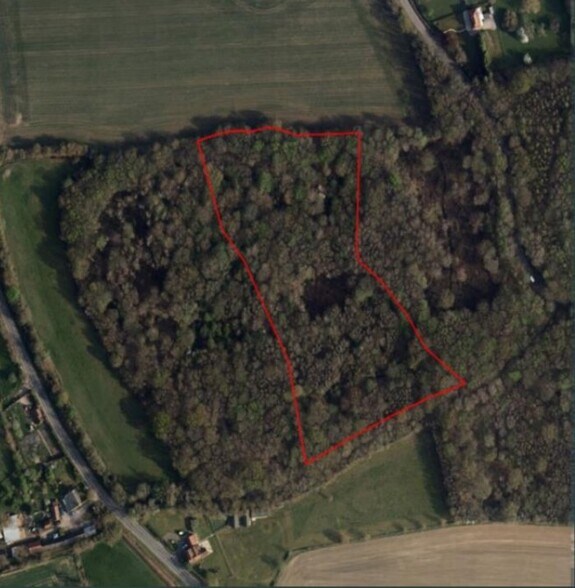 Little Dunmow Woodland, Leaden Roding for sale - Primary Photo - Image 1 of 1