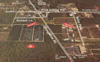 More details for 10361 Stringfellow Rd, Saint James City, FL - Land for Sale