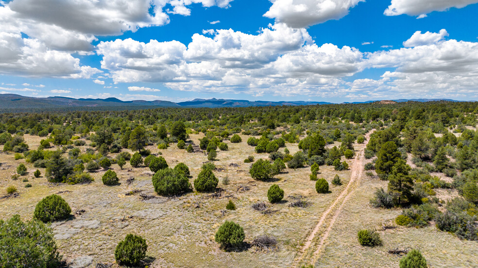 Las Vegas Road (West of Williamson Valley Rd), Prescott, AZ for sale - Aerial - Image 1 of 1