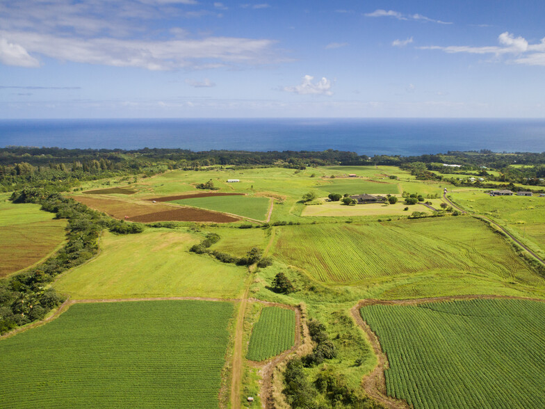 27-570 Onohi Lp, Papaikou, HI for sale - Aerial - Image 1 of 1