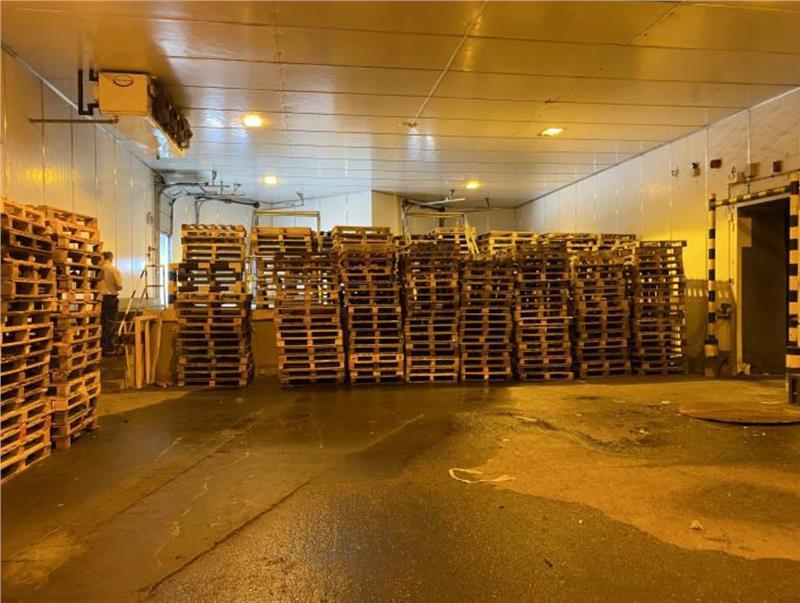 Little Melton Rd, Norwich to rent Interior Photo- Image 1 of 1