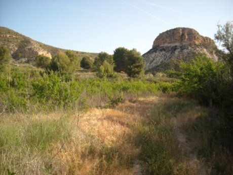 Land in Calasparra, Murcia for sale - Building Photo - Image 3 of 16
