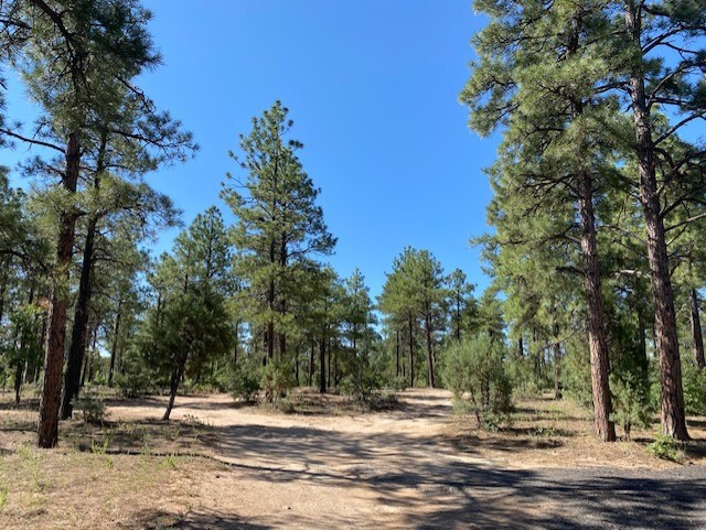 TBD Central, Show Low, AZ for sale - Primary Photo - Image 1 of 1